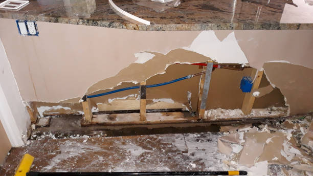 Best Basement water damage restoration  in Aetna Estates, CO