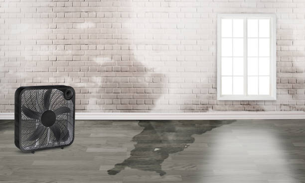 Best Water damage restoration process  in Aetna Estates, CO