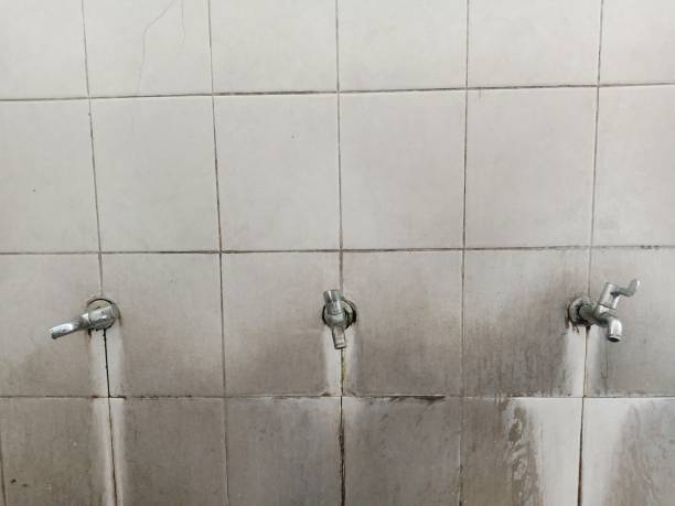 Best Water damage restoration near me  in Aetna Estates, CO