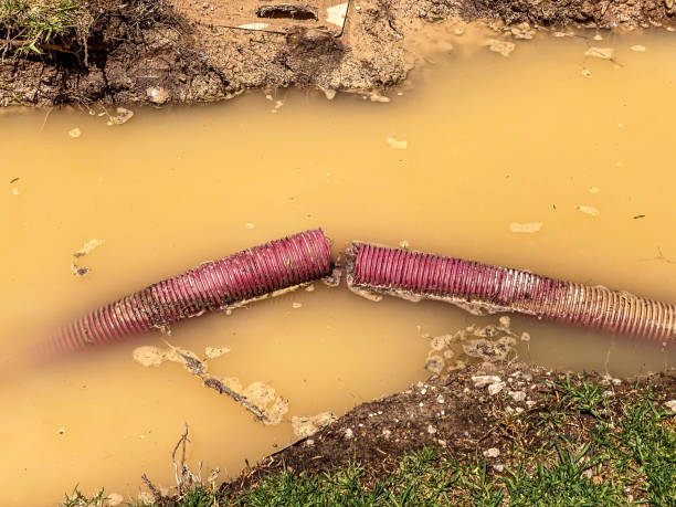 Best Water damage restoration near me  in Aetna Estates, CO