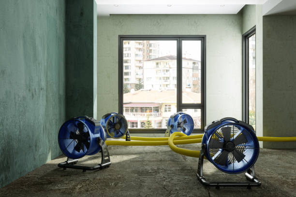 Reliable CO Water damage restoration Solutions